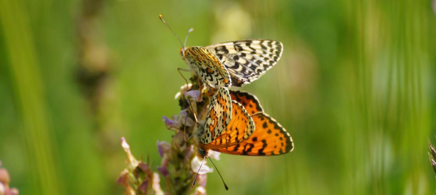 Jubiläumsreise Leuk